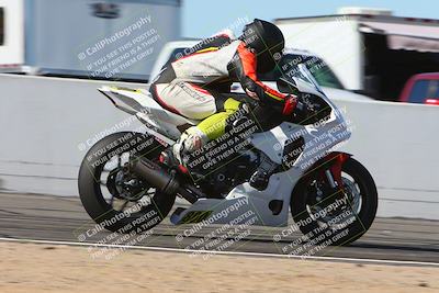 media/Feb-11-2024-CVMA (Sun) [[883485a079]]/Race 11 Amateur Supersport Open/